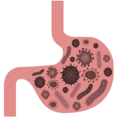Functional Diagnostic Nutrition - The Functional Gut Health Clinic