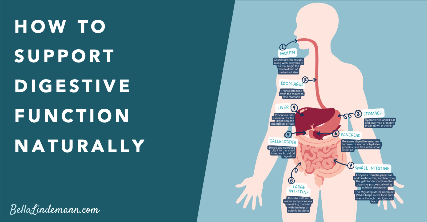 How to Support Digestive Function Naturally