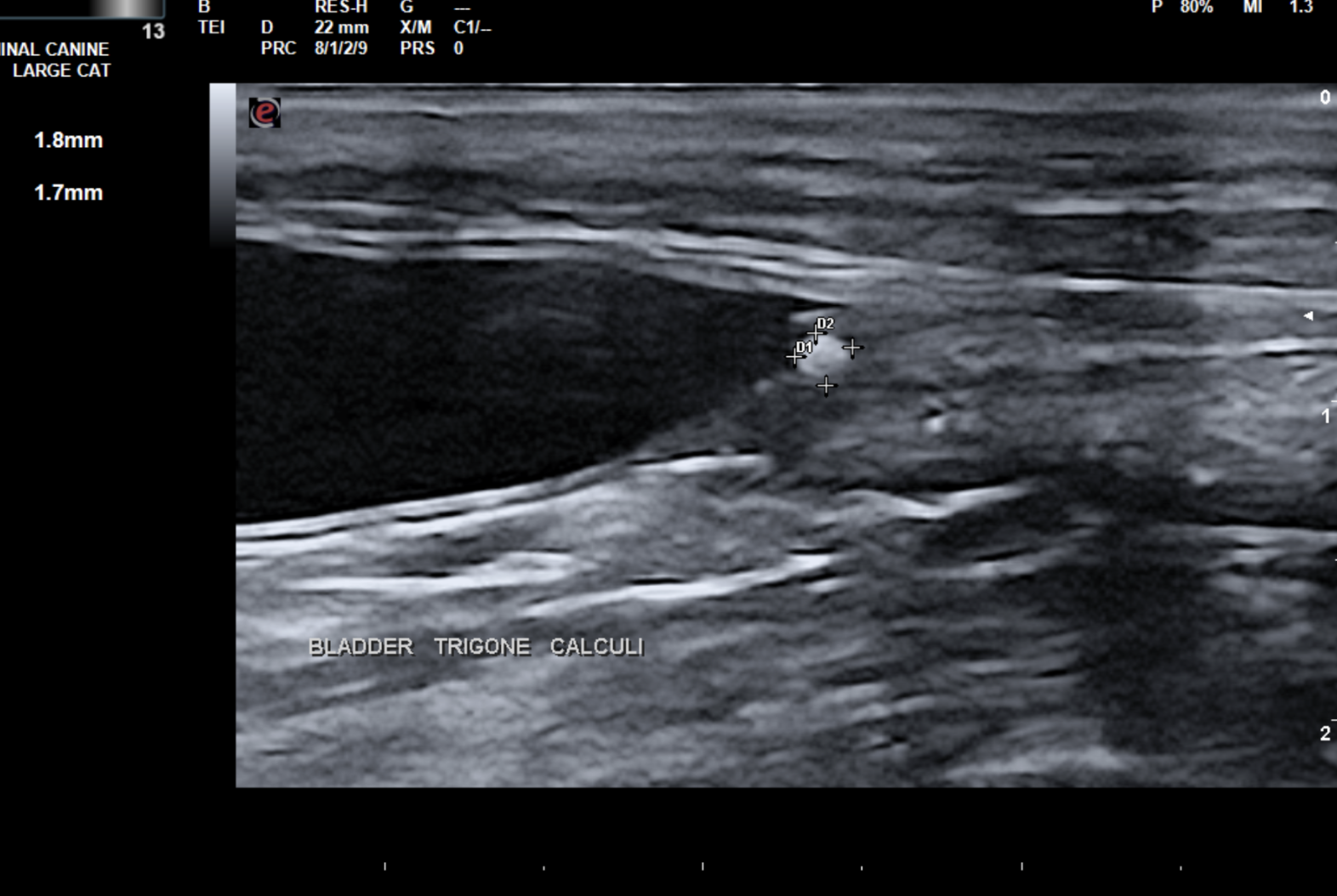 January's Case of the Month - 2023