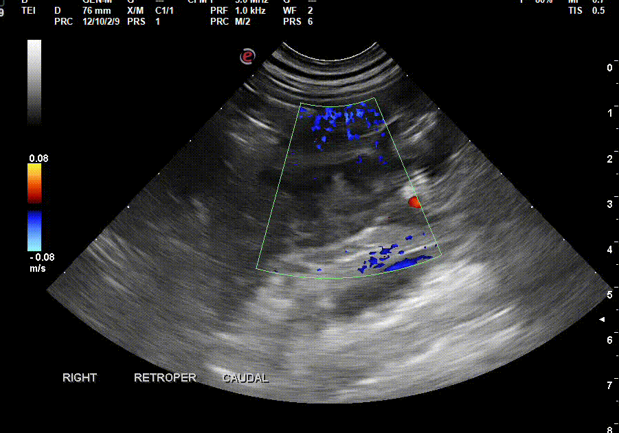 June's Case of the Month!