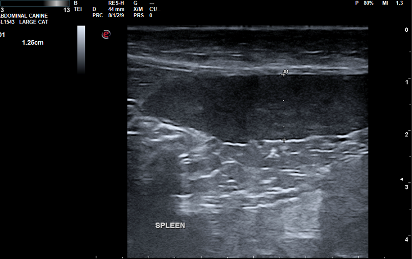 December’s Case of the Month-2023