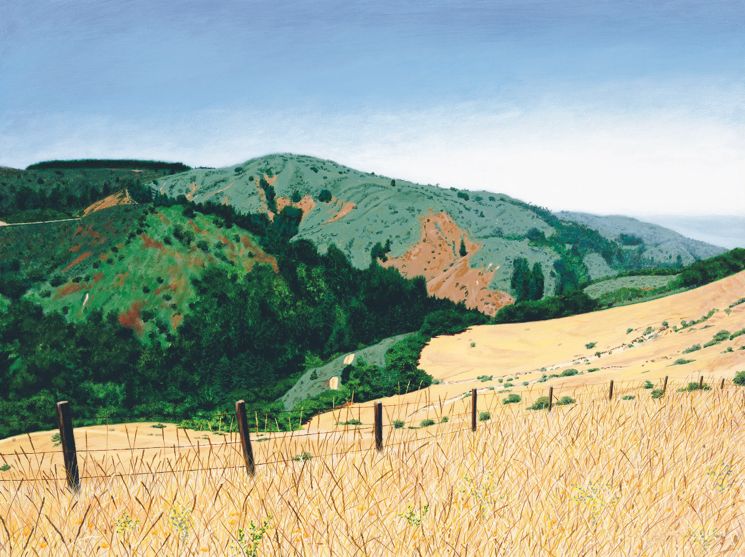 smaller Carmel Valley 2.jpg