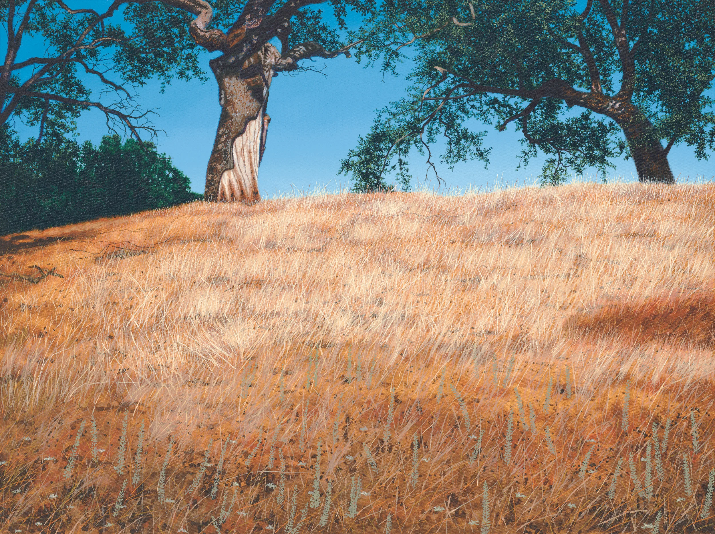 smaller Carmel Valley 5.jpg