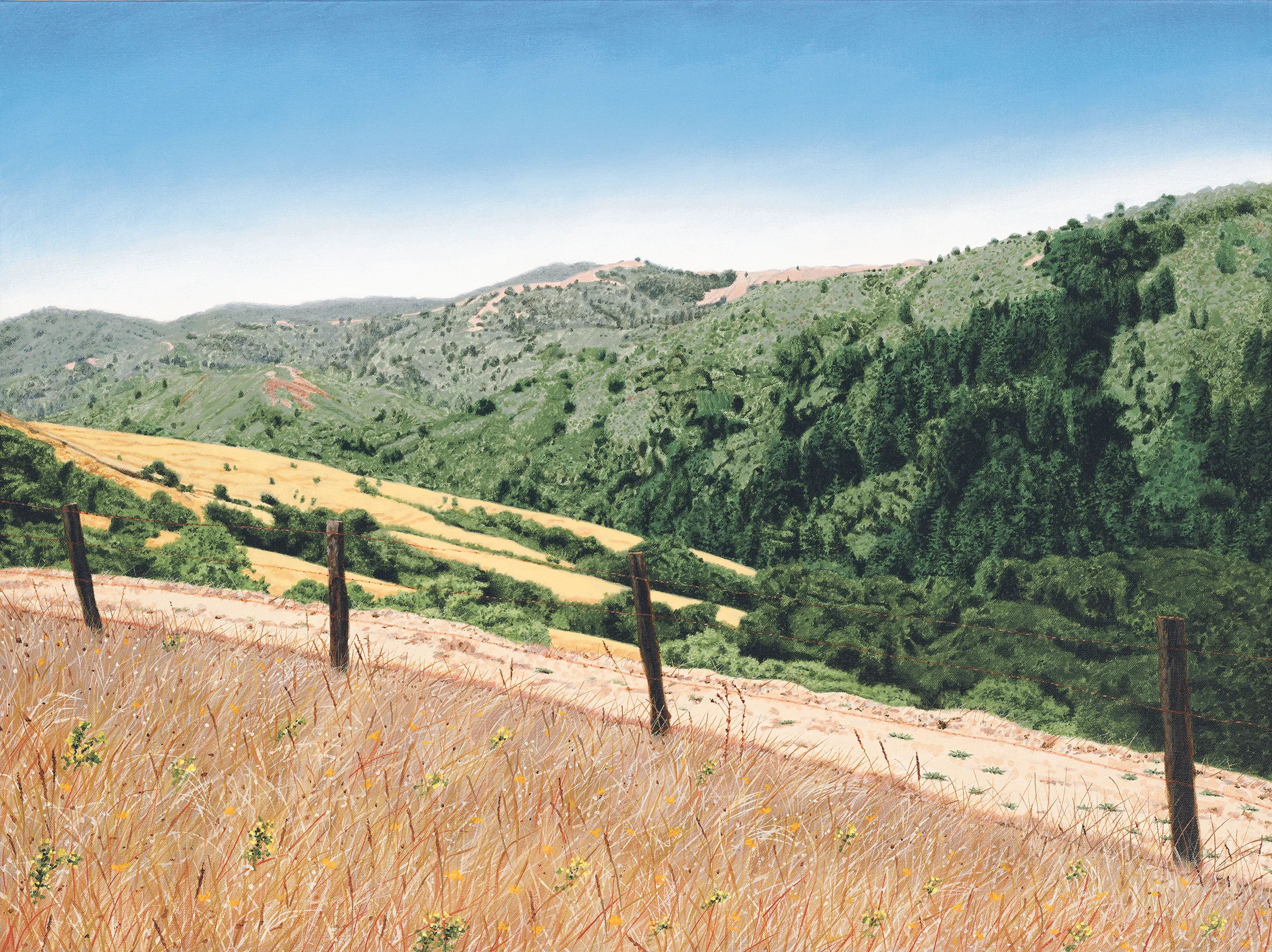 smaller Carmel Valley 3.jpg