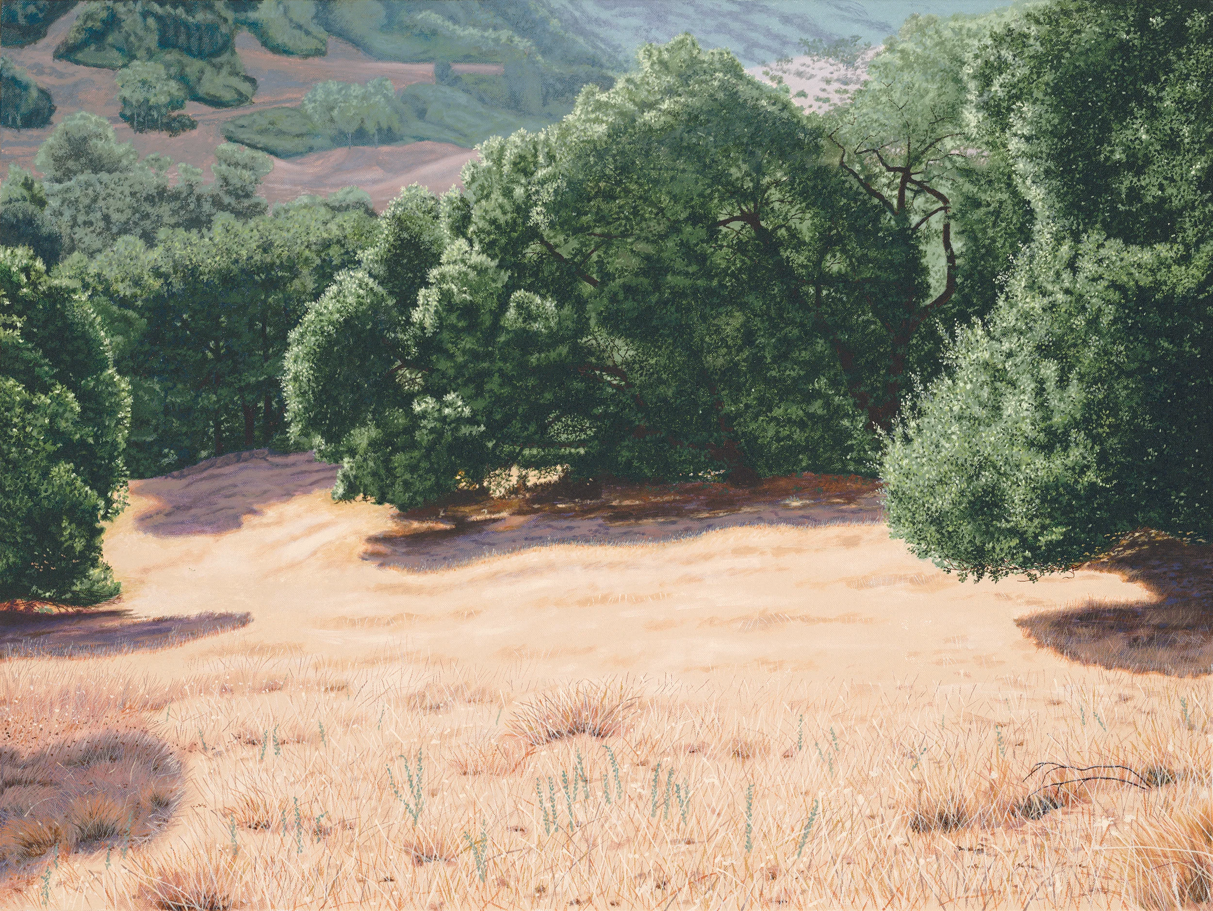 smaller Carmel Valley 4.jpg