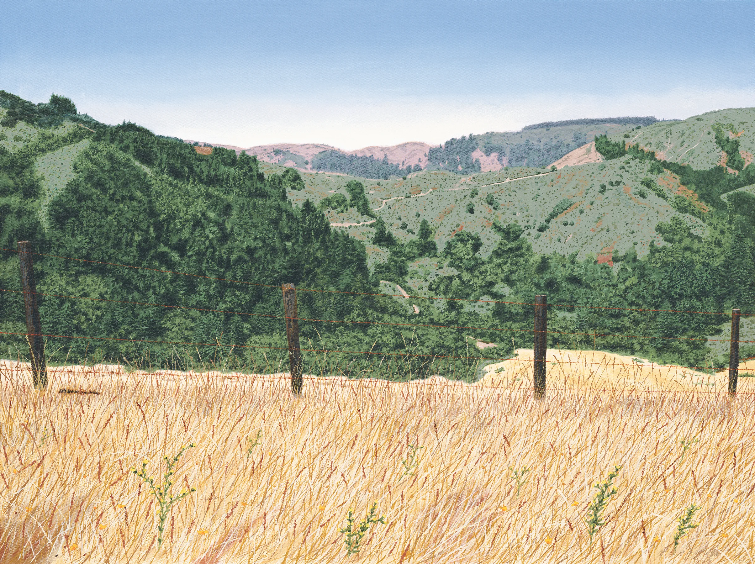 smaller Carmel Valley.jpg