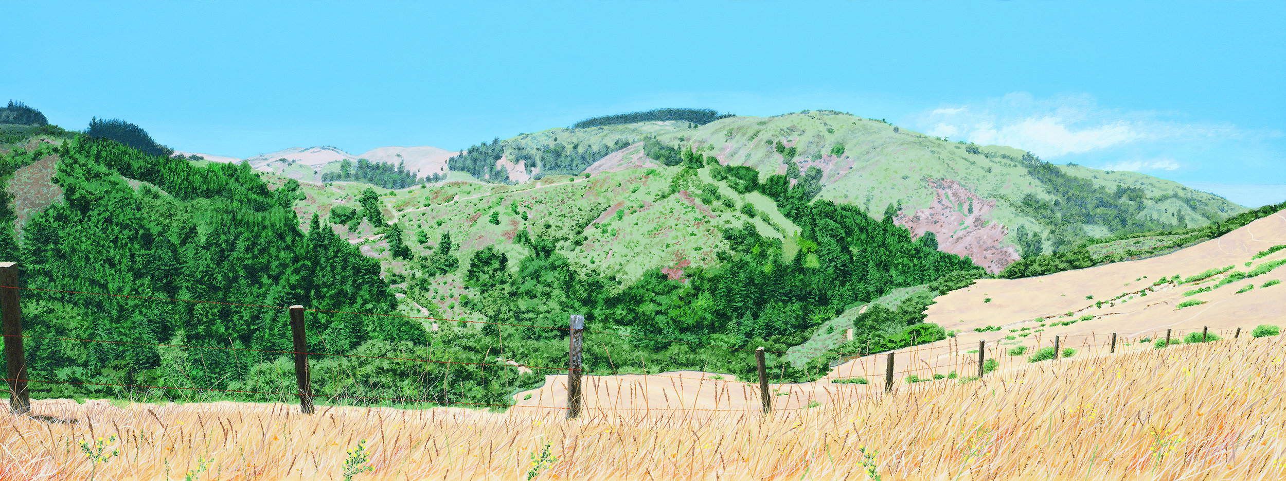 smaller Carmel Panorama.jpg