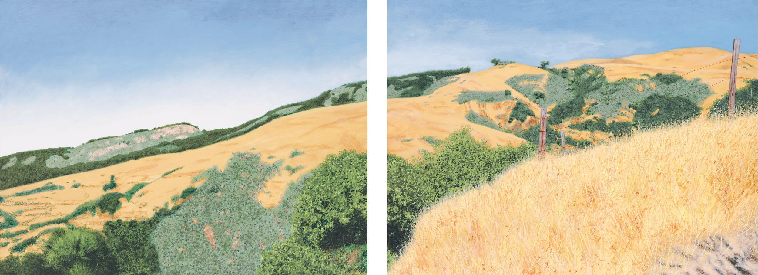 smaller Carmel Valley diptych.jpg