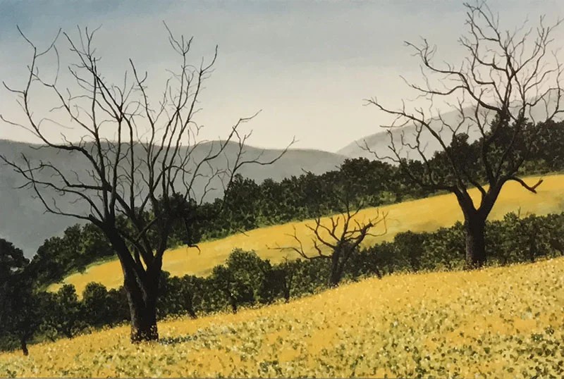 FS-Local Areas-Apricot Orchard with Mustard.jpg