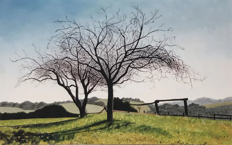 FS-Local Areas-Wild Plum Tree.jpg