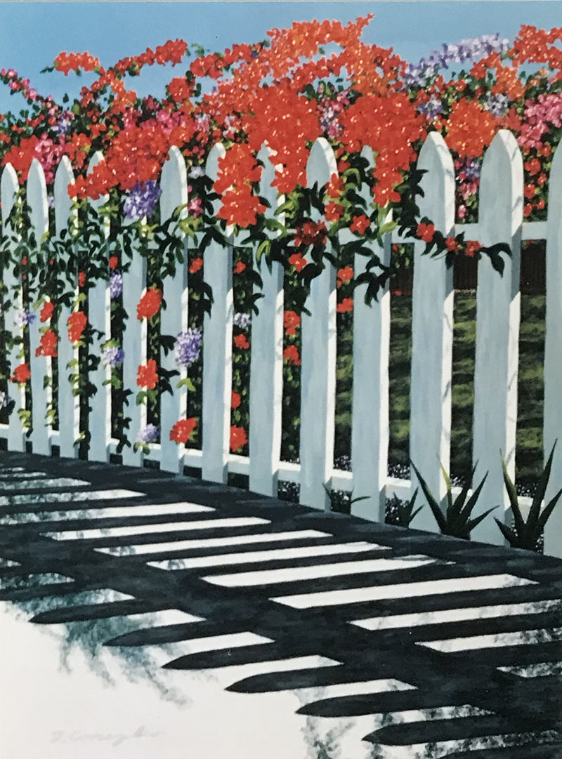 FS-Fence-Fence with Bougainvillea I.jpg