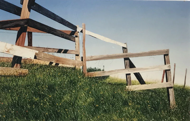 NFS-Local Areas-Palo Alto Heights IV.jpg