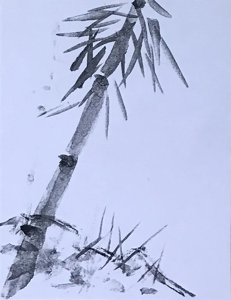NFS-BlackandWhite-Flora.jpg