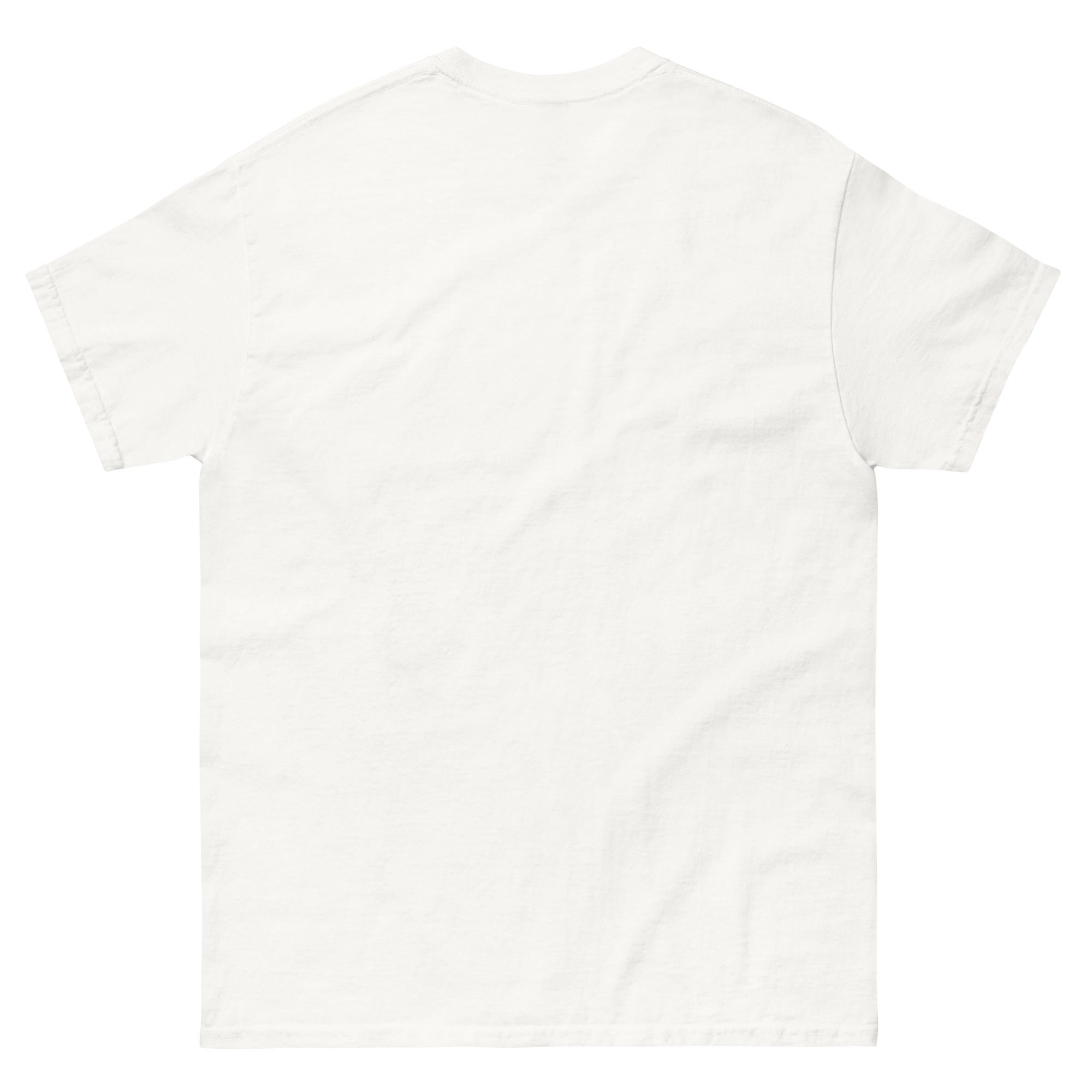 unisex-classic-tee-white-back-6a684f88977b5.png