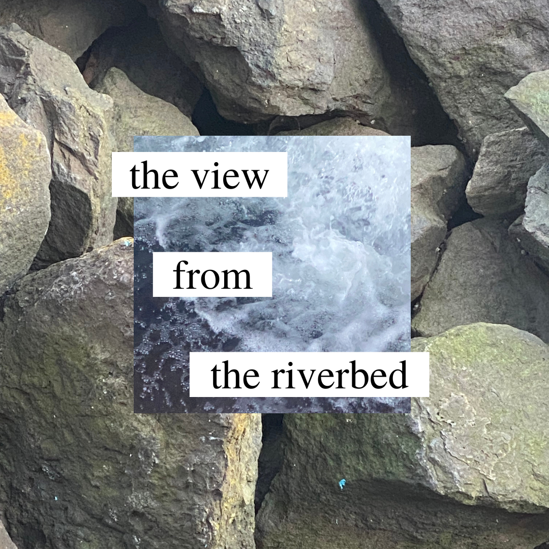 The View from the Riverbed