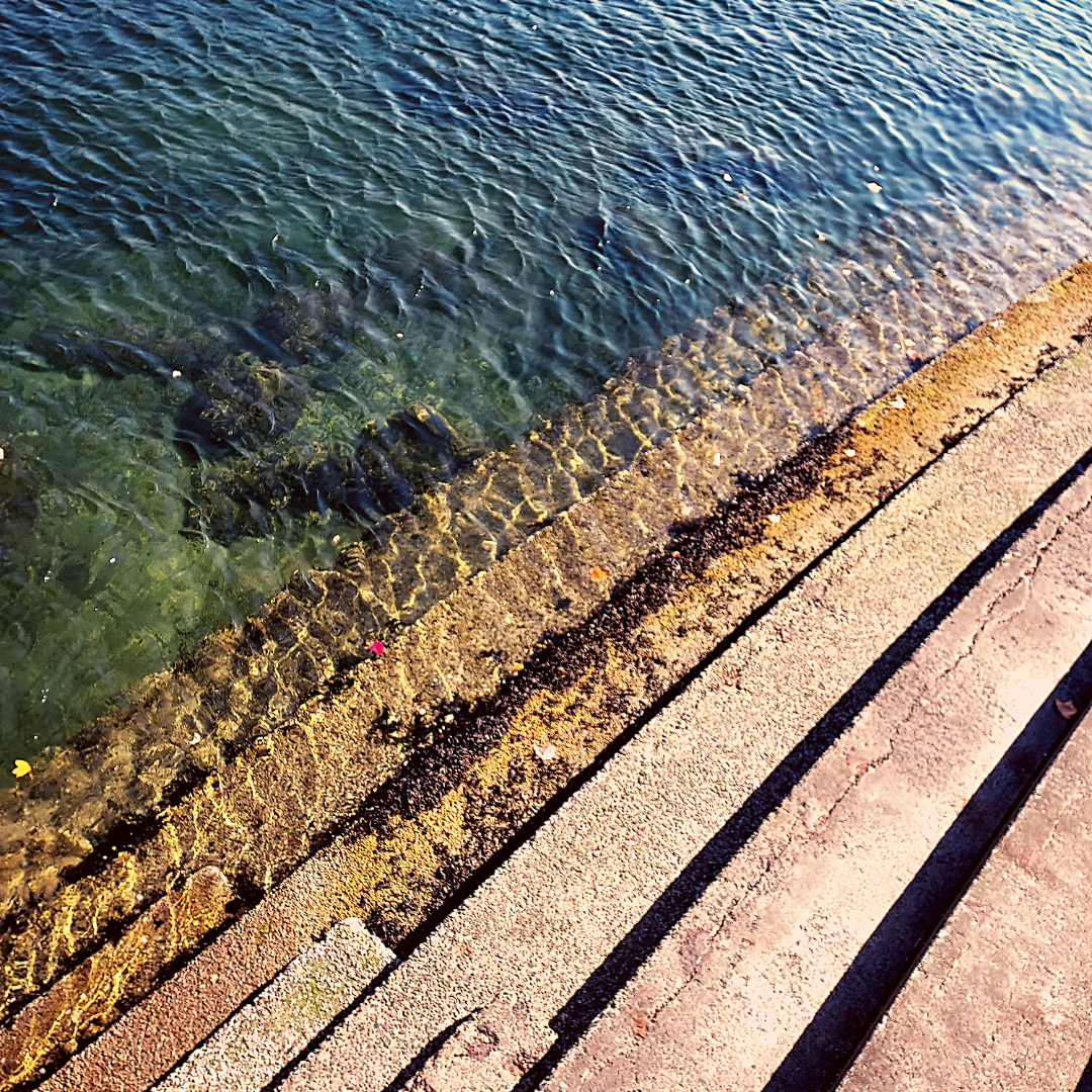 Call for submissions: WATERWAYS zine