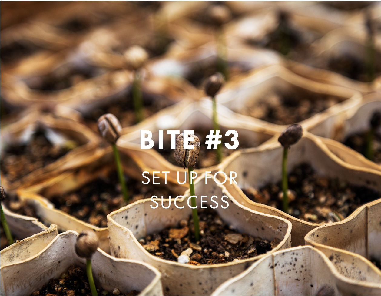 Screenshot 2019-05-23 09.06.59.png