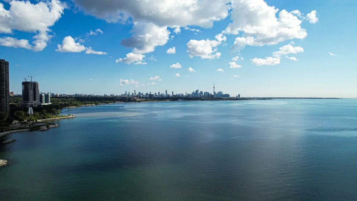 drone shots4.jpg