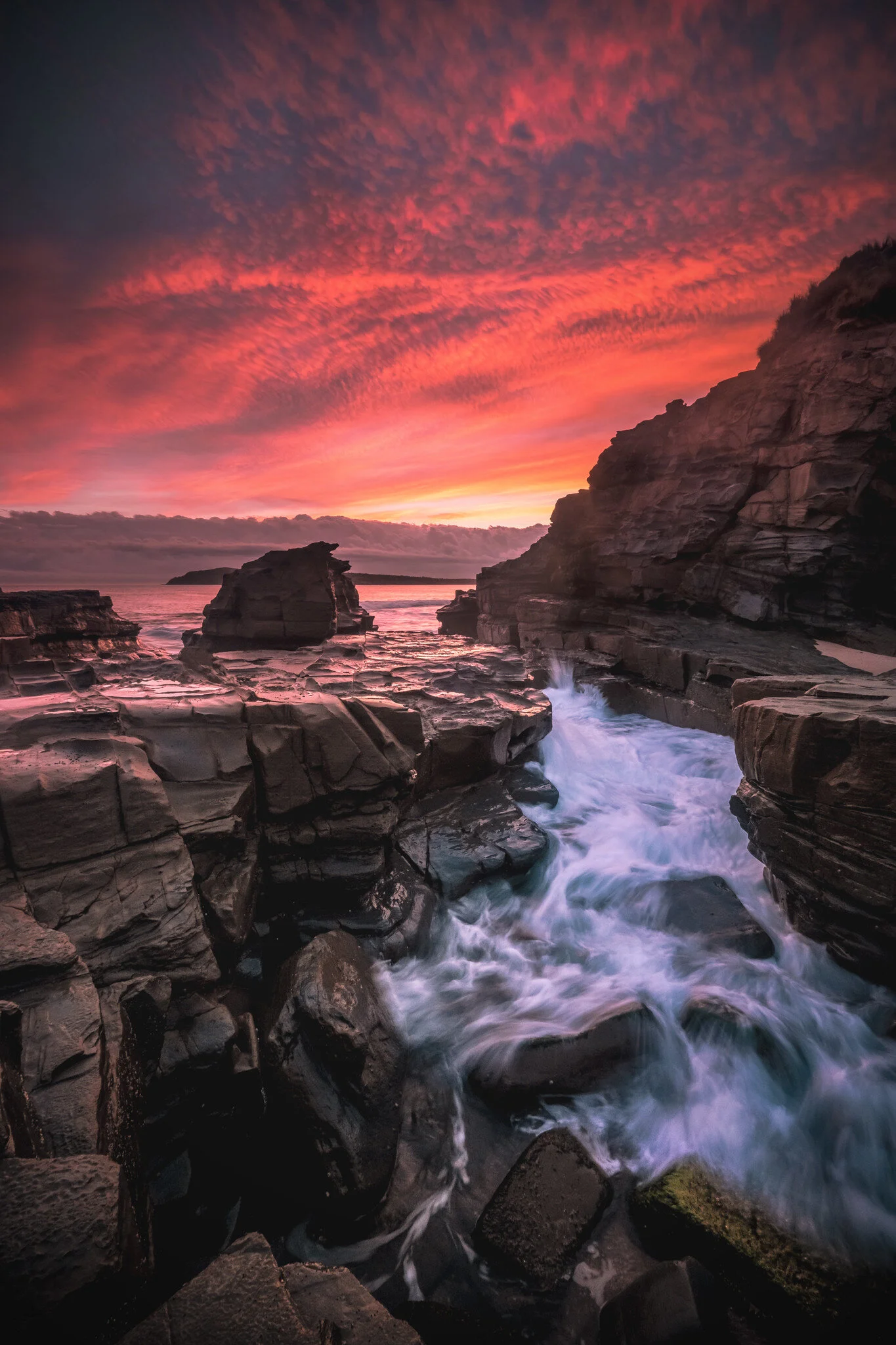 49002889032_6883eeb9c6_k (1).jpg