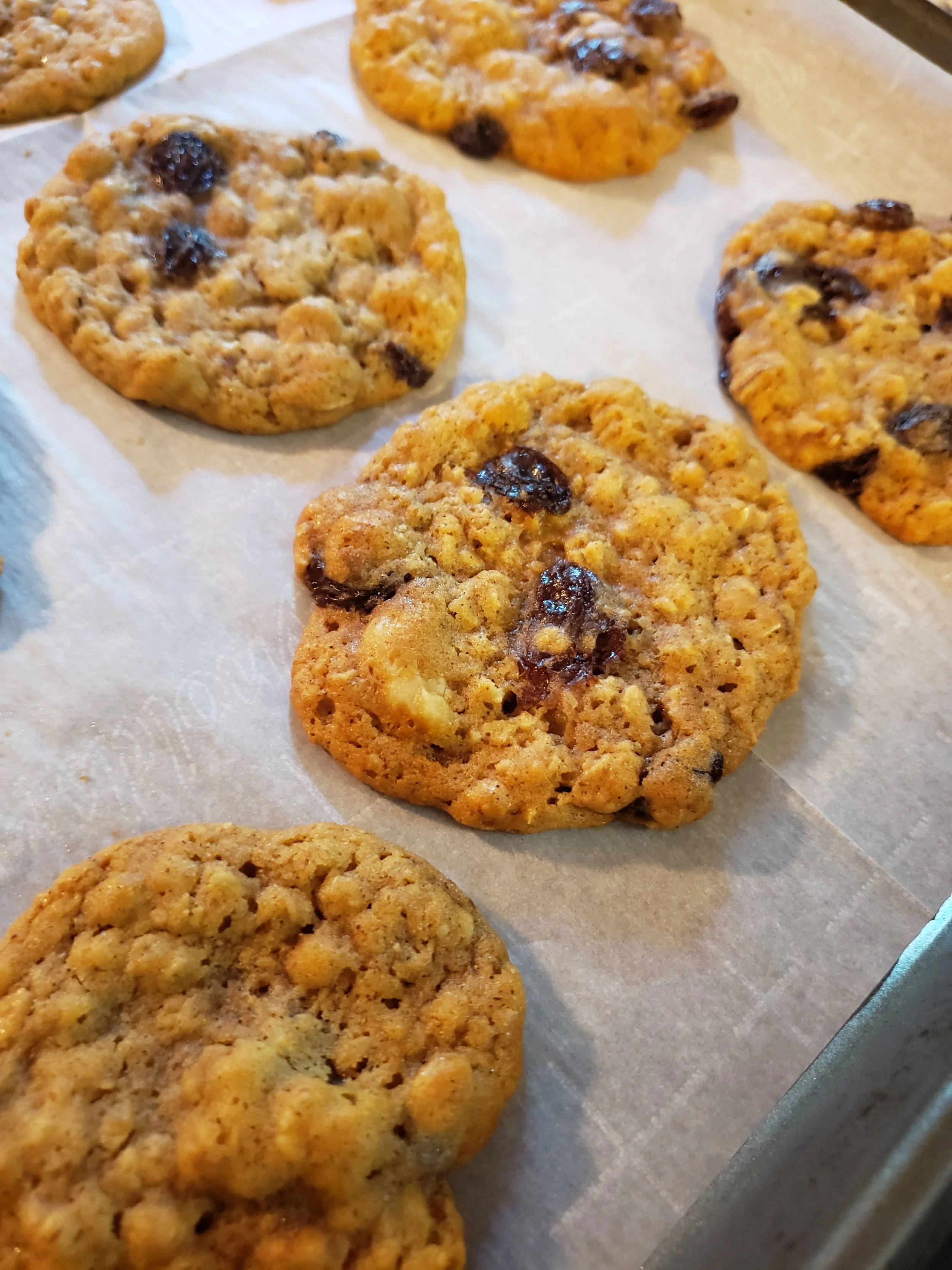 SA Oatmeal Cookies.jpg
