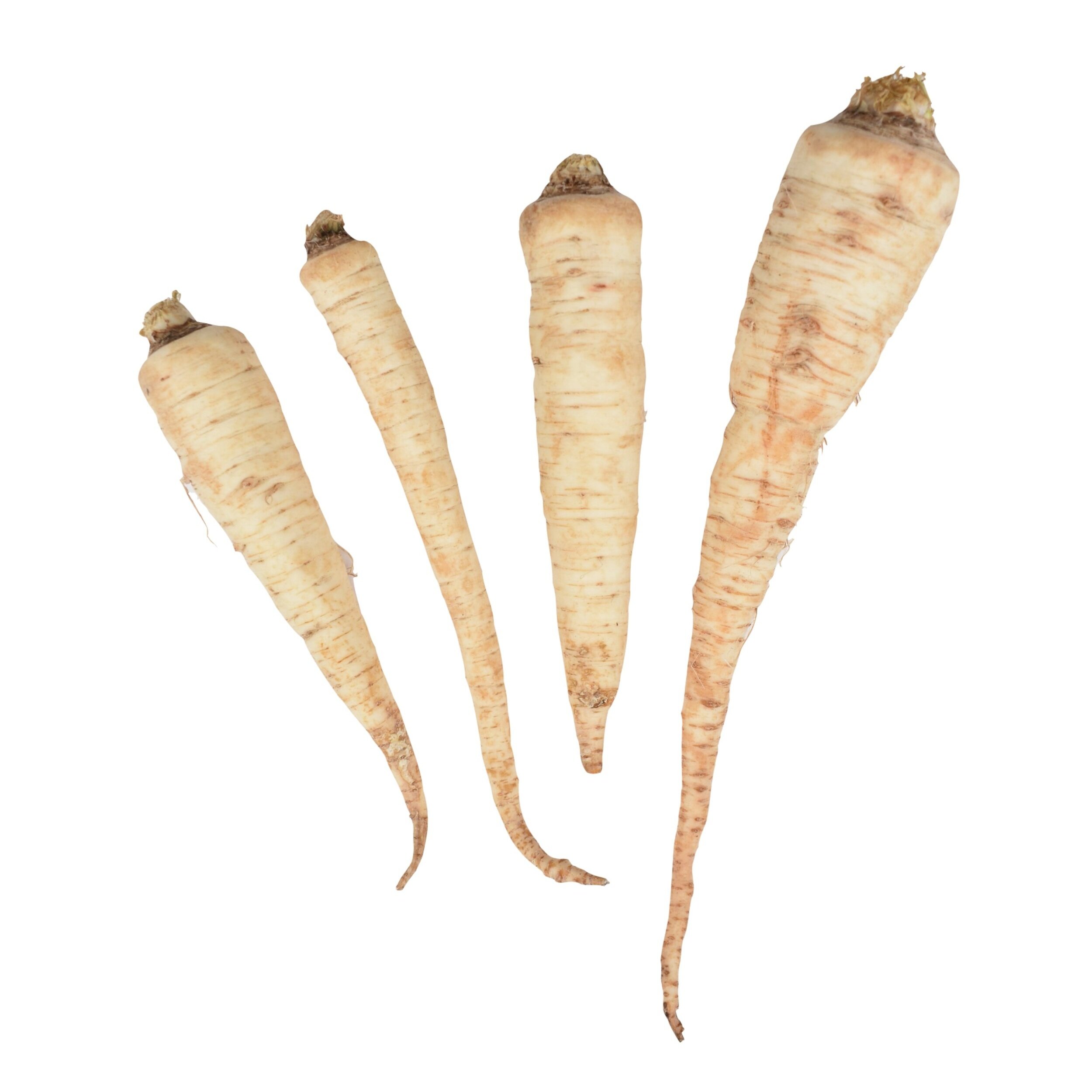 Parsnip