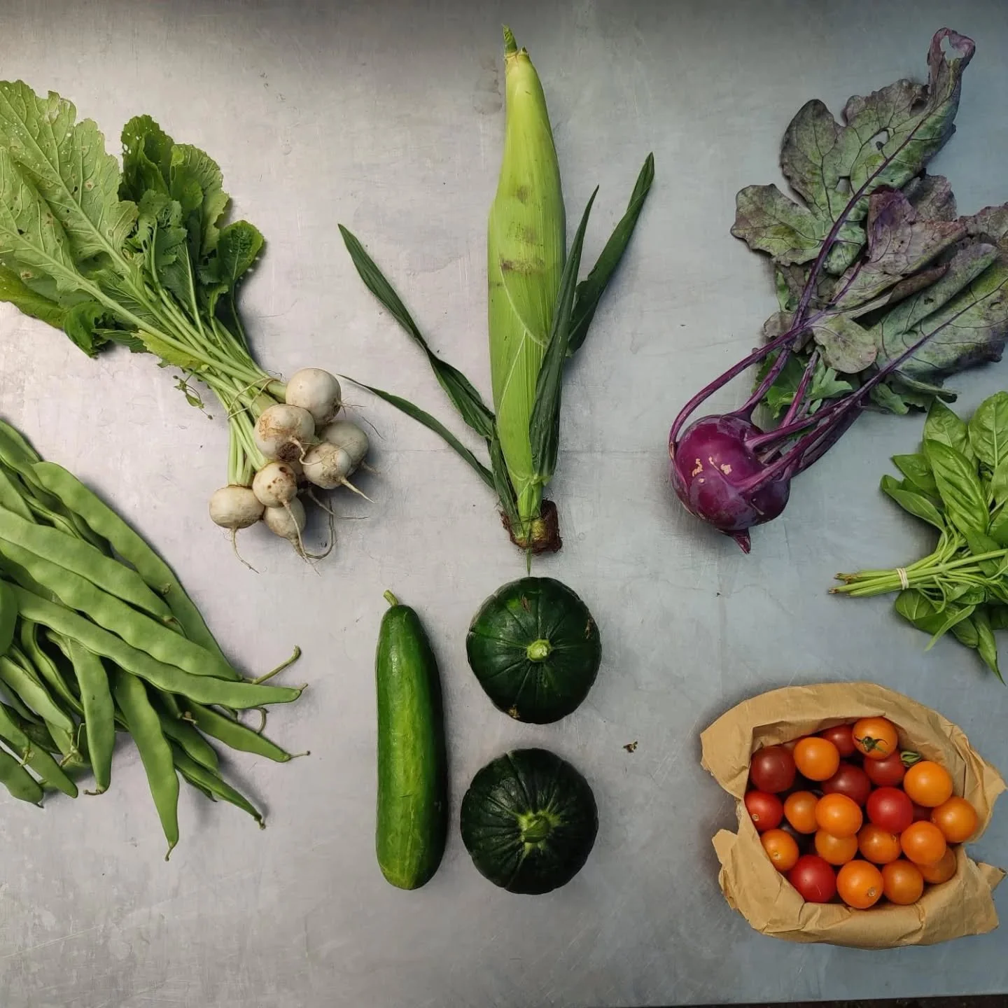 Box #16
Runner beans, turnips, corn 🌽, kohlrabi, basil, cherry tomatoes, zapallito and cucumber

This year we grew more corn because it's just so delicious! While the zapallito plants are still very productive the peak of our cucumber plants has bee