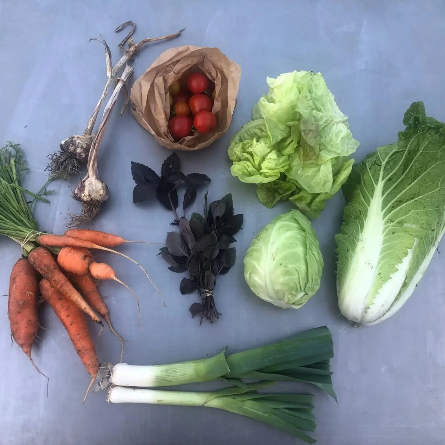 Box #22
Carrots, garlic, very last tomatoes, lettuce, pointy cabbage, chinese cabbage, basil and leek 😋

#seasonflow #destadsgroenteboer #marketgardening #tuinenvanwest #amsterdamduurzaam #boerindebuurt