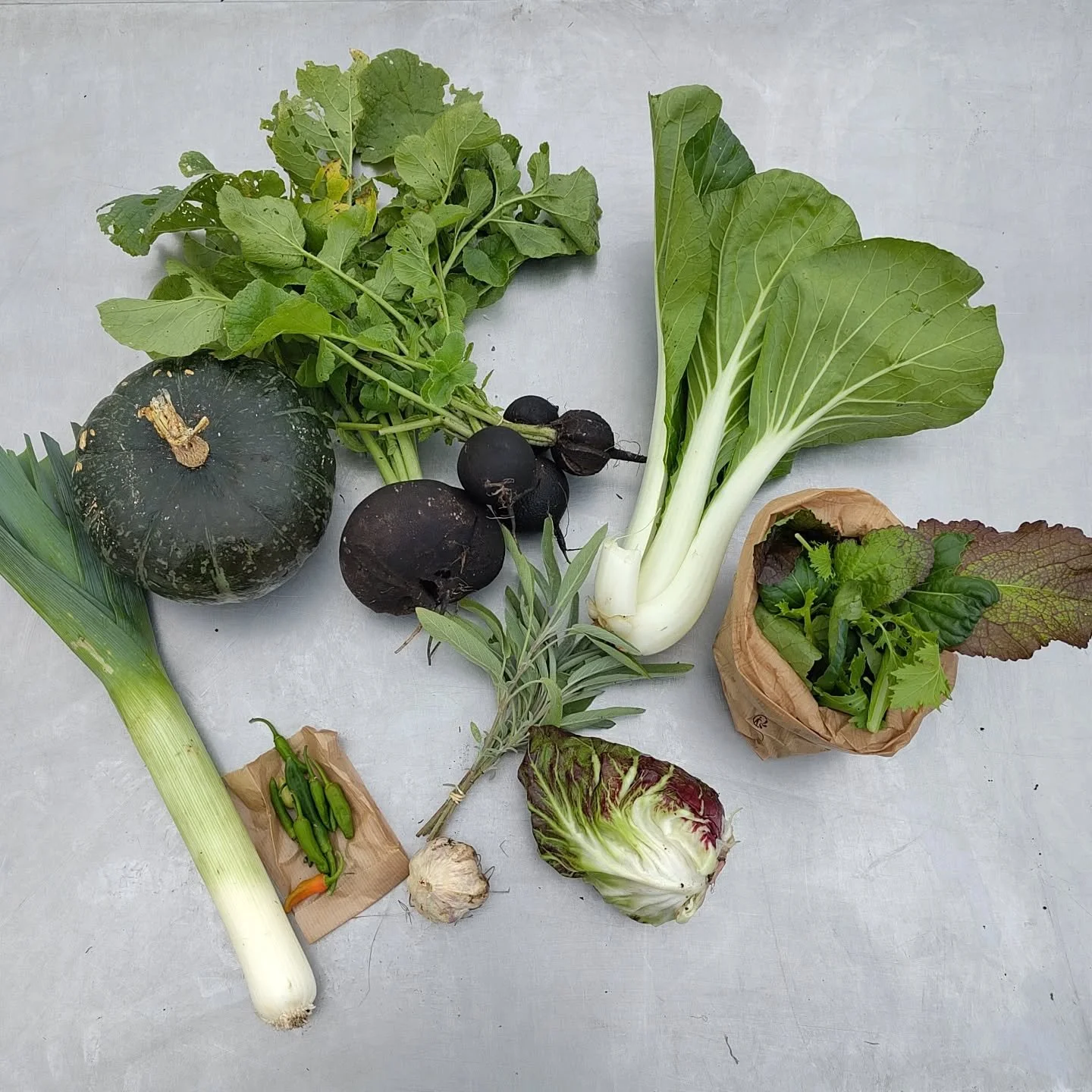 This week for box #25 we have leek, pumpkin, rammenas, bok choi, stir fry mix, radicchio, sage, garlic and chilies.

In autumn the bitter vegetables like rammenas and radicchio are on the menu. Once you have discovered their versatile use in the kitc