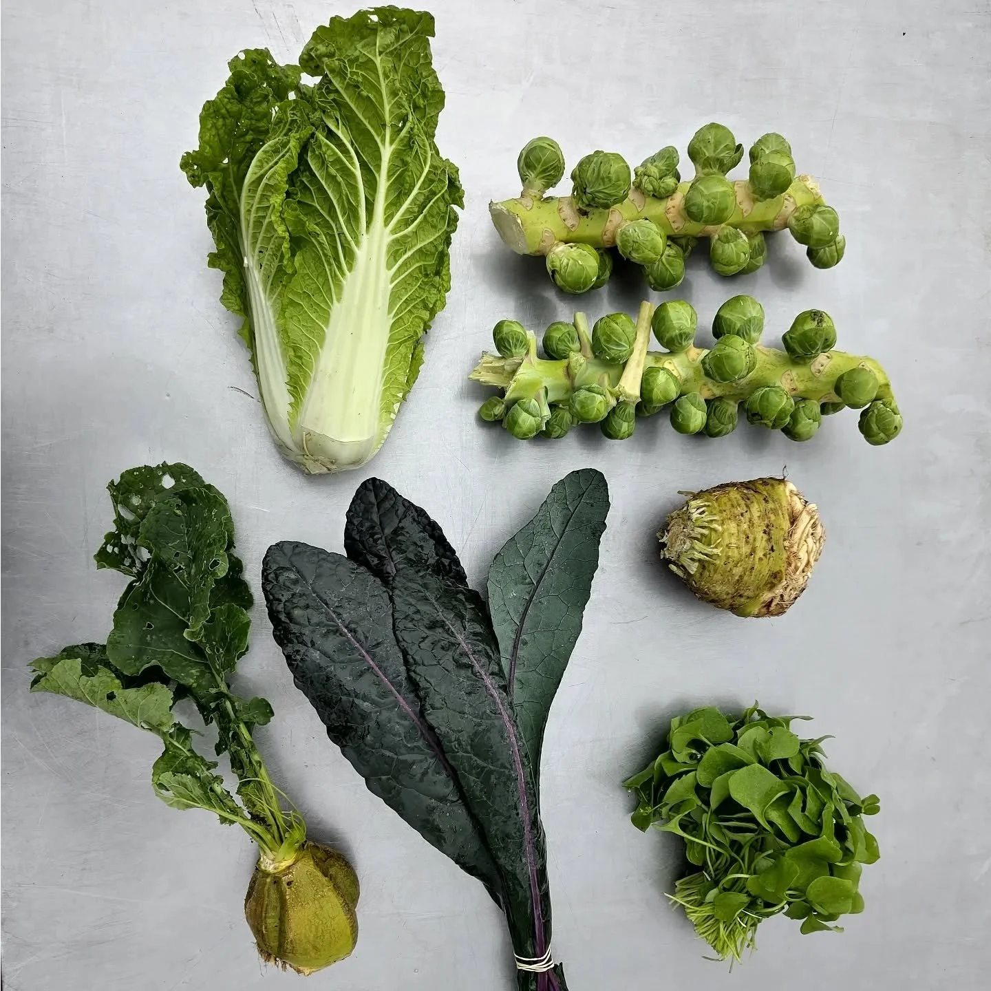 Box #26
This week we have Chinese cabbage 🥬, Brussels sprouts, celeriac, winter purslane, cavolo nero and Sweden in the small box 🍂

#autumnharvest #csa #destadsgroenteboer #boerindebuurt