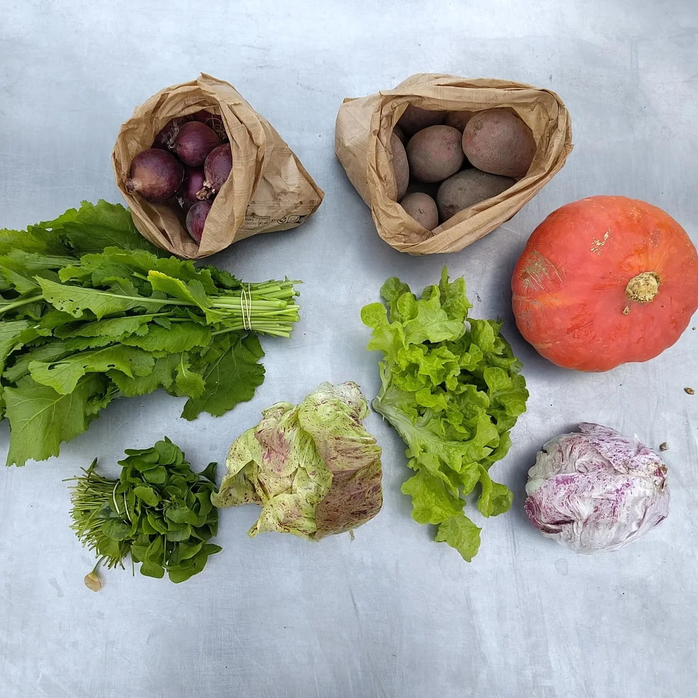 Box #27
Cime di rapa, onions, potatoes, pumpkin, radicchio, lettuce and winter purslane 

#destadsgroenteboer #winterveggies