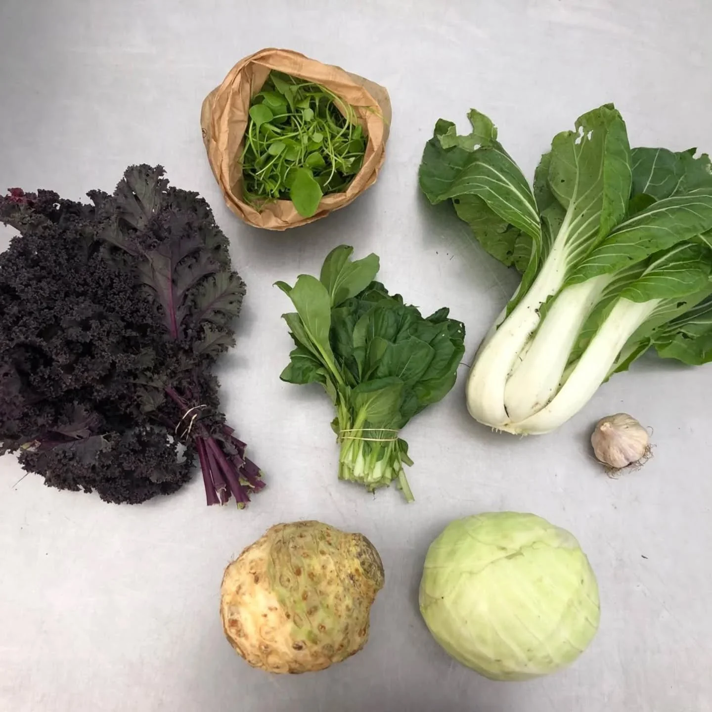 Box #28
This week our members with an S box got: purple kale, winter purslane and rucola mix, tatsoi, paksoi, garlic, cabbage and celeriac.

Have you tried tatsoi? 🍴🥗🪏
It's such a versatile vegetable. You can eat it raw in a salad, fry it, steam i