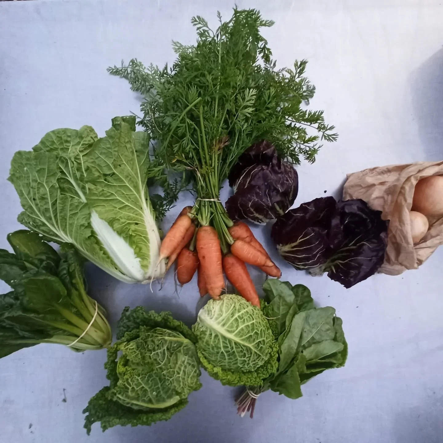 Box #29 of the season!
Tatsoi, chinese cabbage, carrots, radicchio, onions, sorrel and savoy cabbage 

#destadsgroenteboer