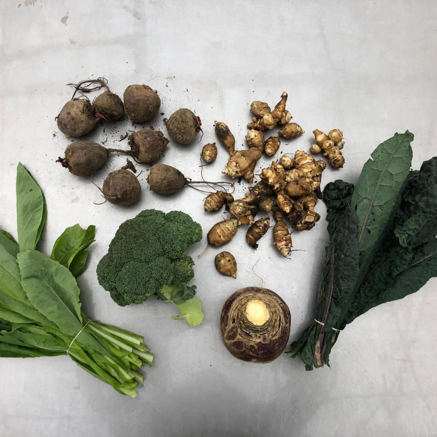Box #30 and three boxes left to go until the season ends

This week oud members got kommatsuna, broccoli, beets, Jeruzalem artichoke, cavolo nero and swede.

#destadsgroenteboer #csaamsterdam #tuinenvanwest