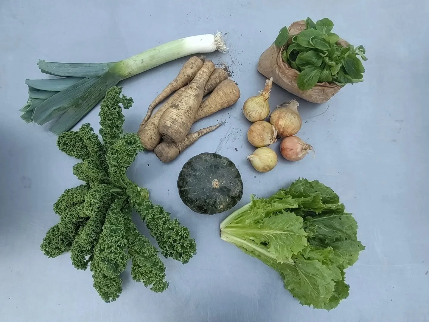 Box #31
Leek, kale, parsnips, pumpkin, endive, onions and lamb's lettuce 

Prei, boerenkool, pompen, andijvie, uien en veldsla 😋

This week we collaborated with @no_shit_food and @boerderij_aan_de_dijk  who provided us with their delicious storage v