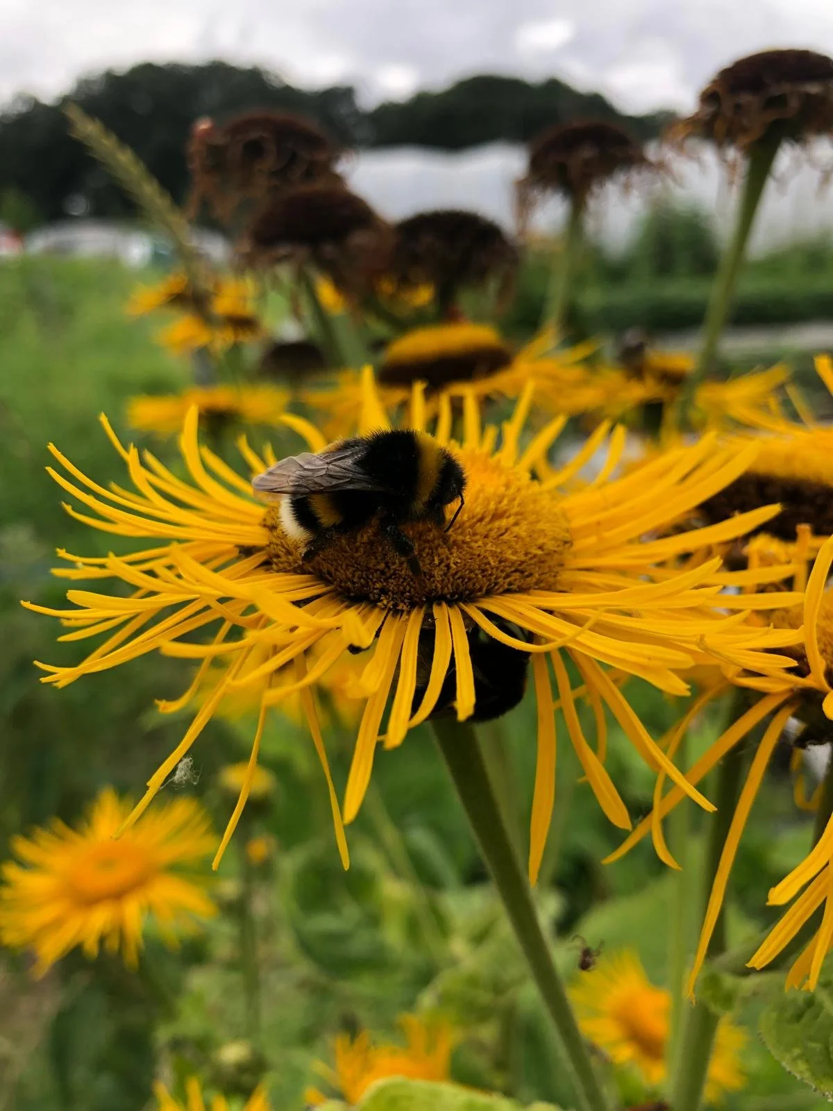 WhatsApp Image 2026-02-05 at 15.30.02 (2).jpeg