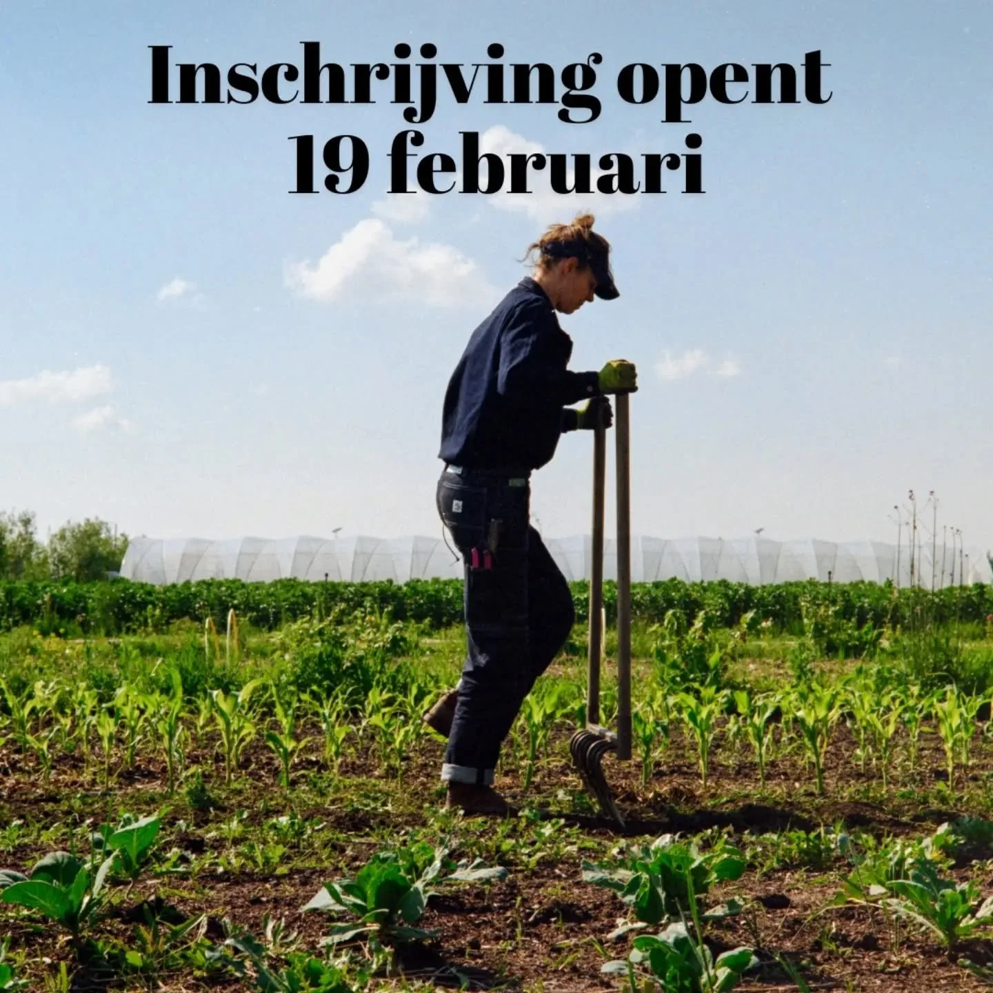 &ldquo;English version coming soon.&rdquo;

🚨&nbsp;Op 19 februari openen onze CSA-inschrijvingen!&nbsp;🚨

Wil jij dit seizoen:
🥕 17 of 34 weken lang verse, lokale groenten
▶️ Start: week 17
🌱 Eten met het seizoen
🤝 Onderdeel zijn van een betrokk