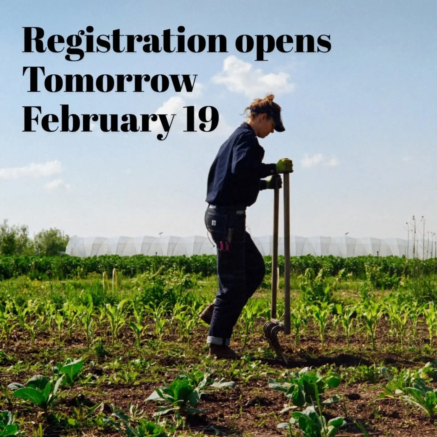 🌿&nbsp; Hello everyone living in Amsterdam and loving fresh veggies!
Our CSA registration opens tomorrow!!

If you&rsquo;ve been meaning to eat more locally, support small farms, or reconnect with where your food comes from&hellip; this is your mome