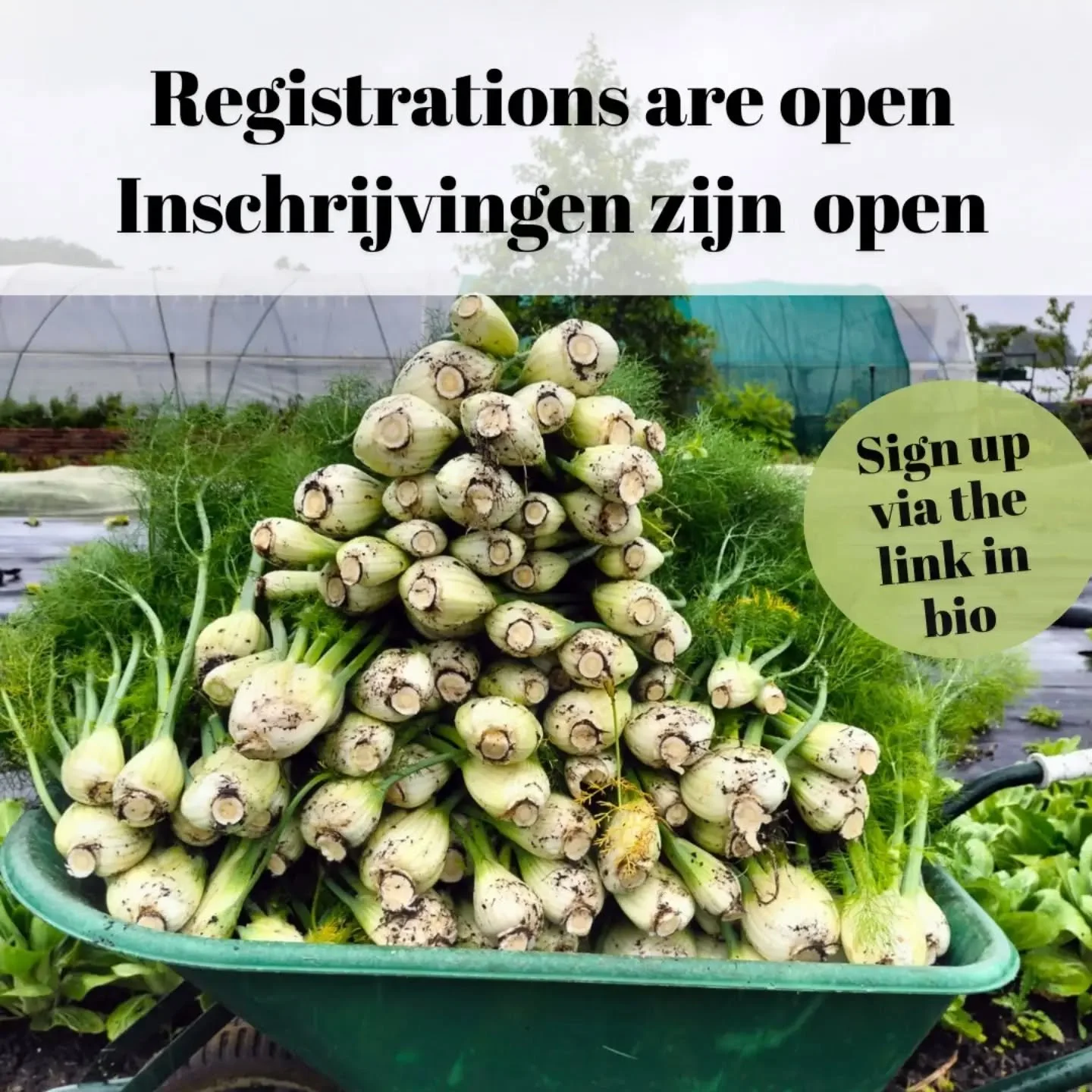 Het is zover: de inschrijvingen zijn open! 🎊

Doe mee voor een seizoen vol knapperige groenten! 

🥕🥕🥕🥕🥕🥕🥕🥕🥕🥕🥕🥕🥕🥕🥕🥕🥕🥕🥕🥕🥕

The day has finally arrived and subscriptions are open to the public 🎊

Join us for a season of crunchy ve