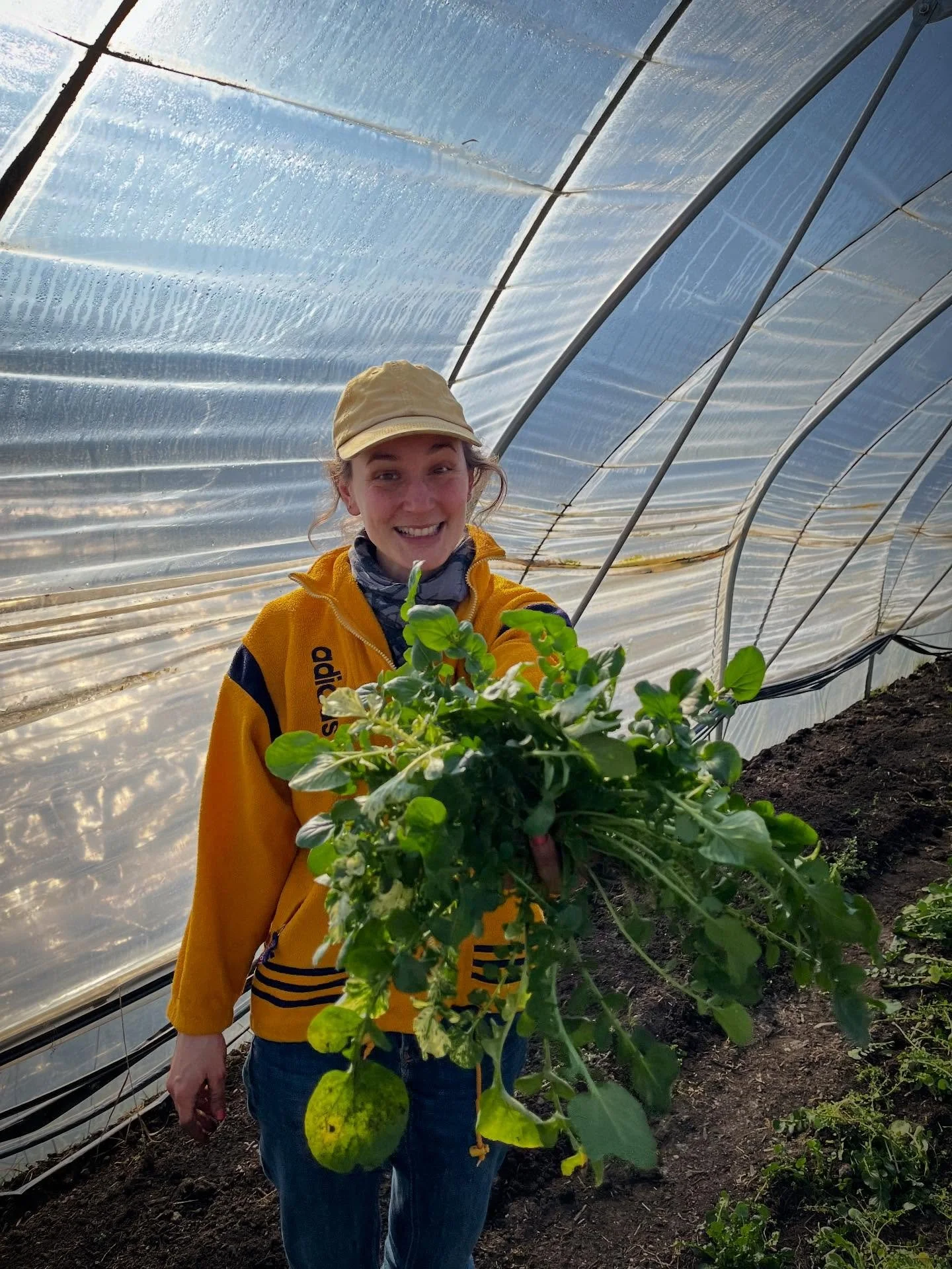We will be waiting for you with these glorious greens this coming Saturday in the sunny courtyard in front of @ulmus_bakkerij ! Come and get your GRATIS greens, we have a lot! Get to know us and the CSA. Share a coffee and a chat! : we will be there 