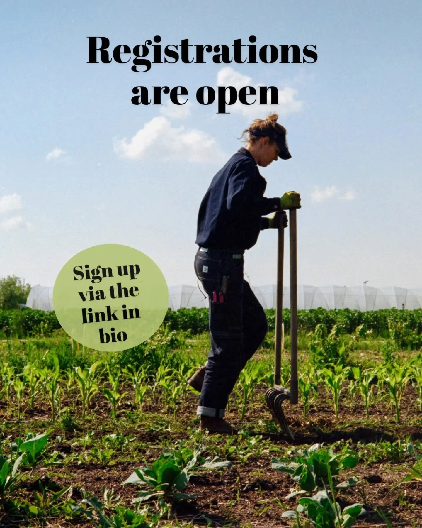 🌿&nbsp; Hello everyone living in Amsterdam and loving fresh veggies!
Our CSA registration is open! 🎉

If you&rsquo;ve been meaning to eat more locally, support small farms, or reconnect with where your food comes from&hellip; this is your moment.

