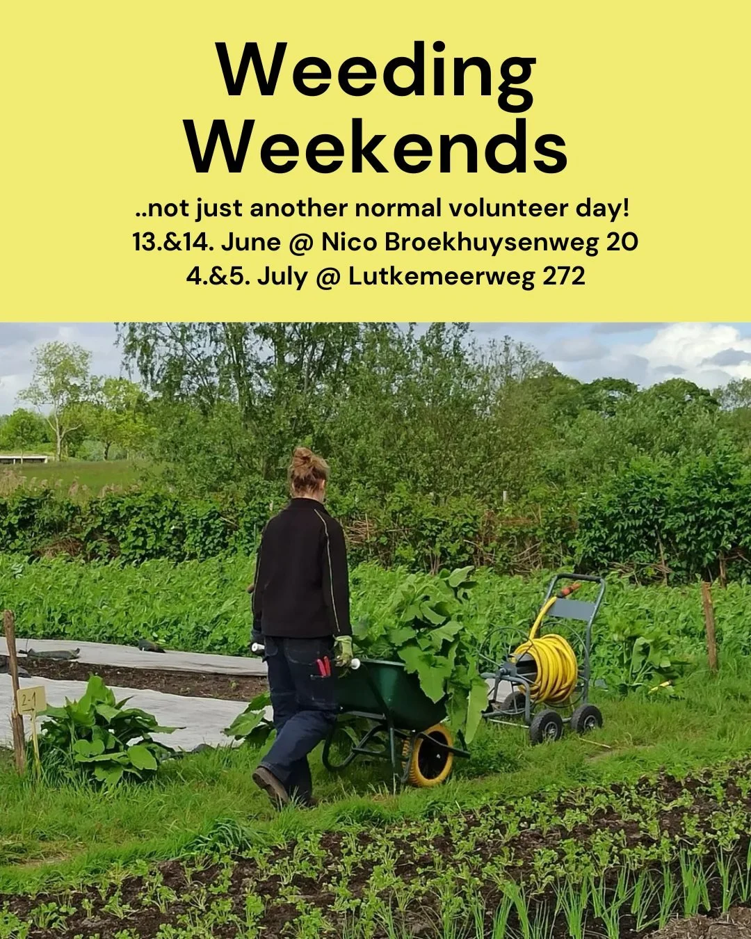 **SIGN UP! AANMELDEN! - via your personal member page or by writing us an email: info@stadsgroenteboer.nl** 

Join us for an exciting two-day volunteer event filled with fun, food, and friendship! 
Saturday Morning:
Kick off at 09:00 with coffee, tea
