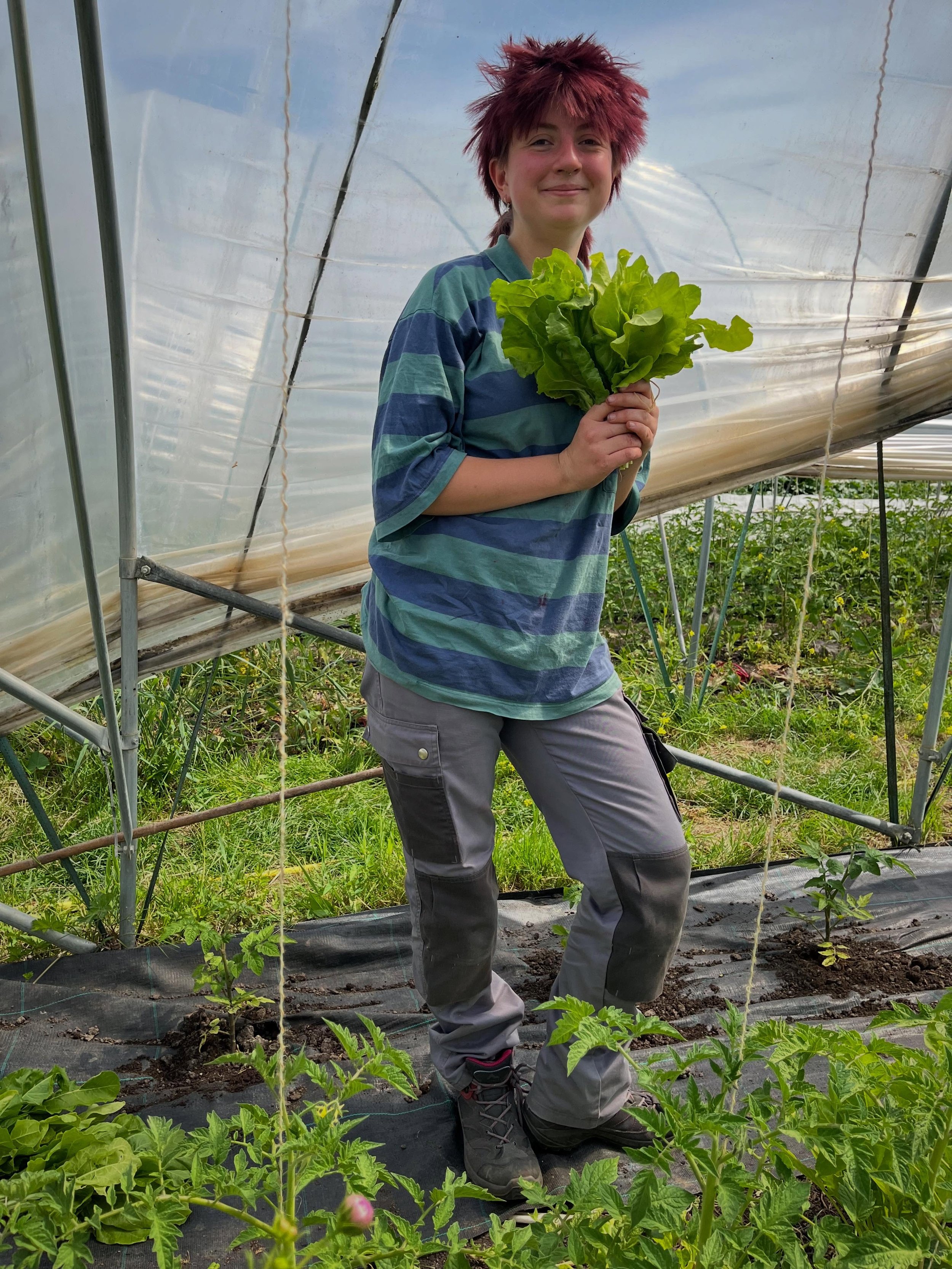 This summer we are spoiled by amazing interns that choose to join us for a month at a time. Yvaine studies Horticulture in Vienna, she loves Muay Thai, Crafts, and black elderflower. 

We feel honoured in how mang oeople choose to volunteer, intern o