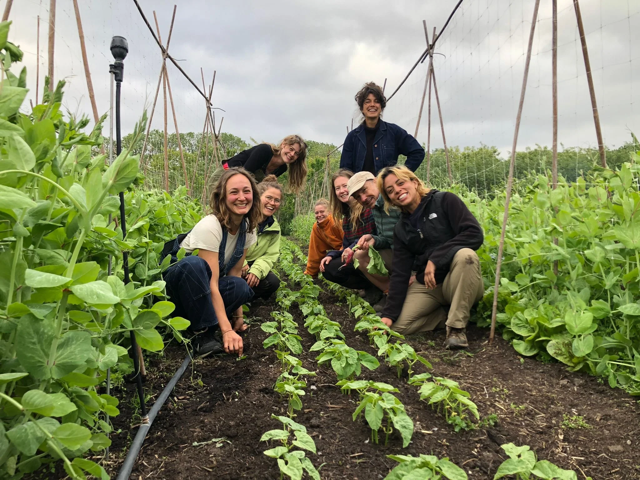 WhatsApp Image 2026-02-07 at 23.27.30.jpeg