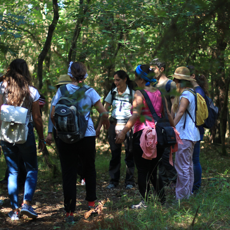 forest-0486.jpg