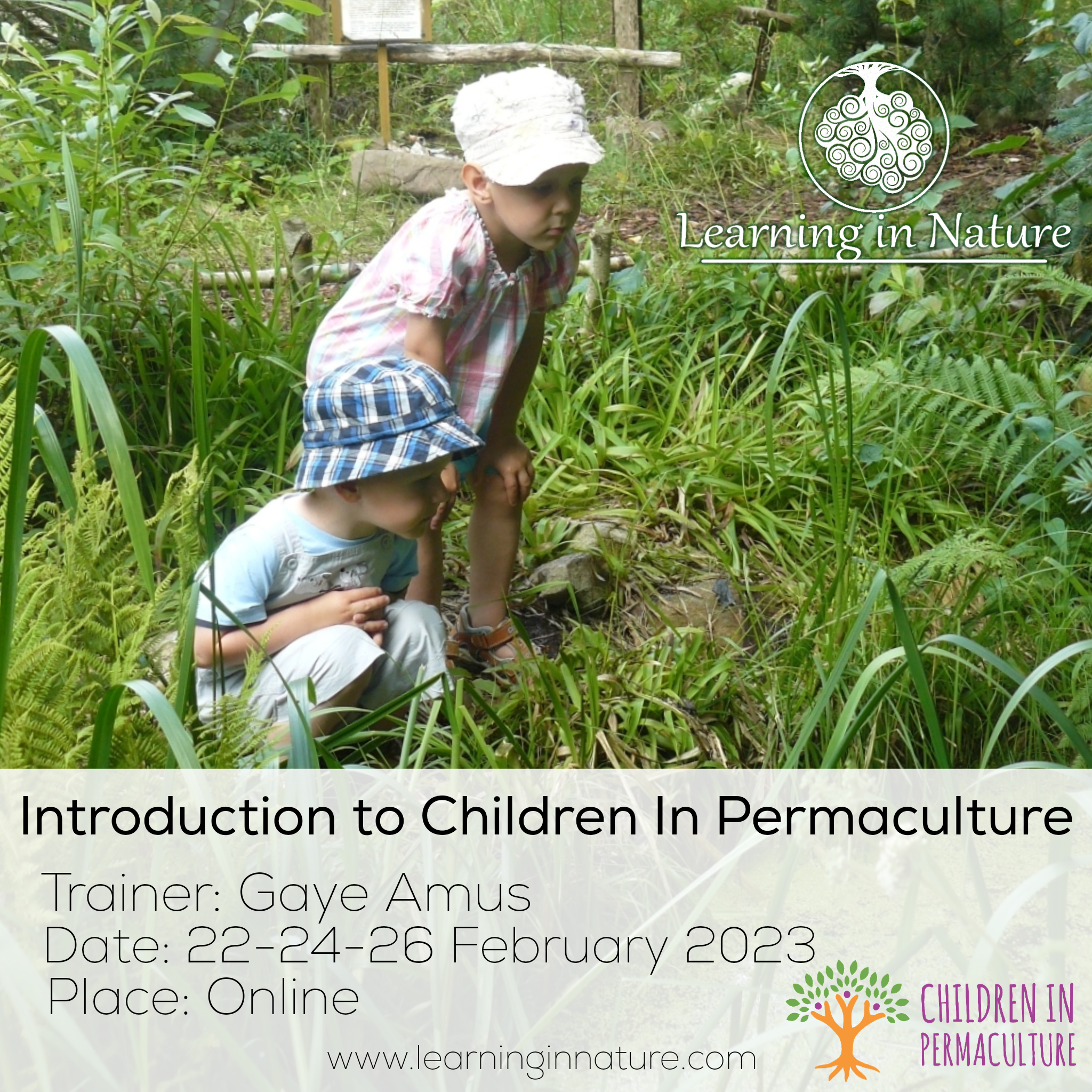 Online intro CIP course 2023.png