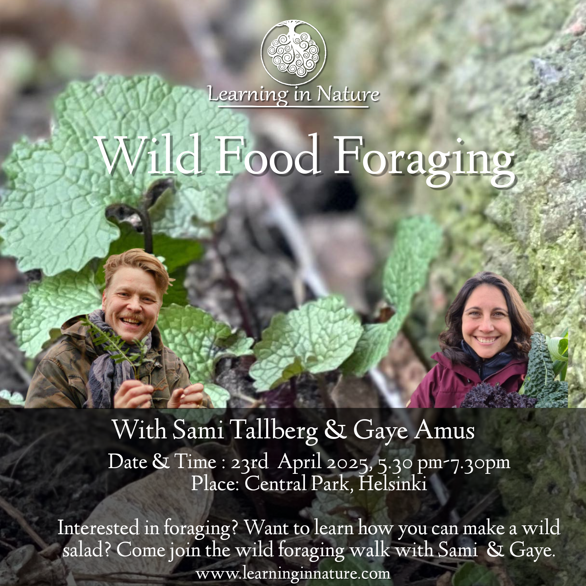project_20250415_1003391-01 wild foraging gaye amus.png