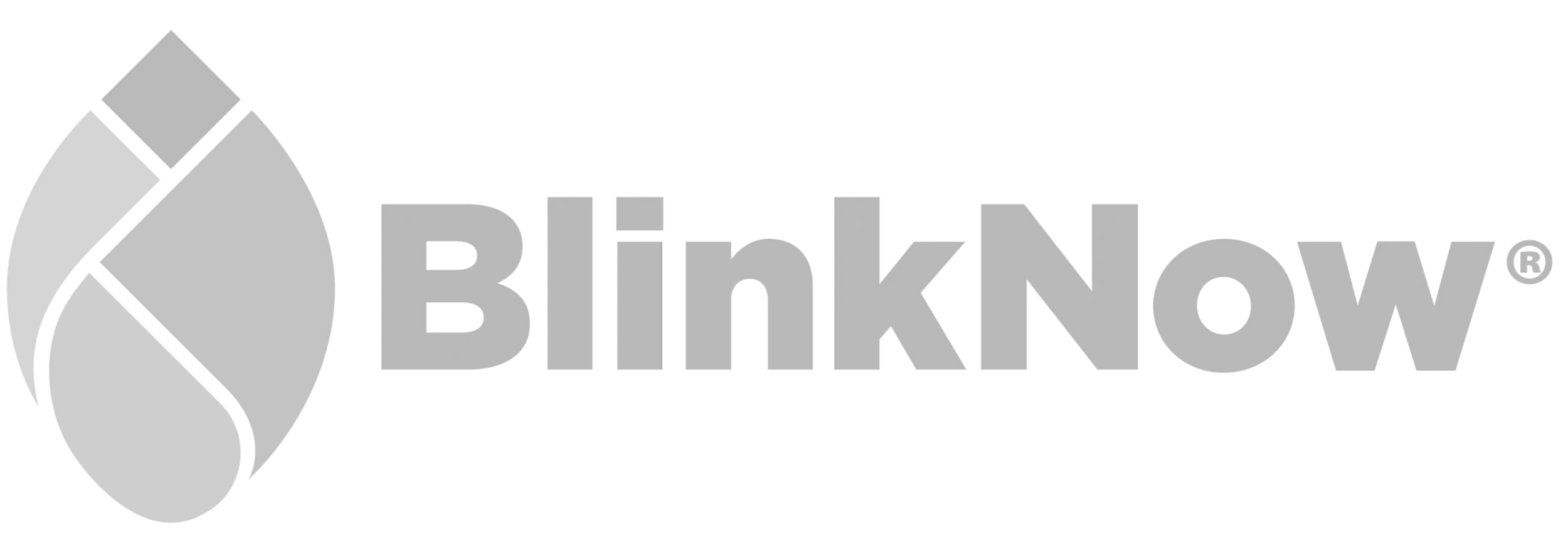 BlinkNow_logo_transparent_2083x 1.png