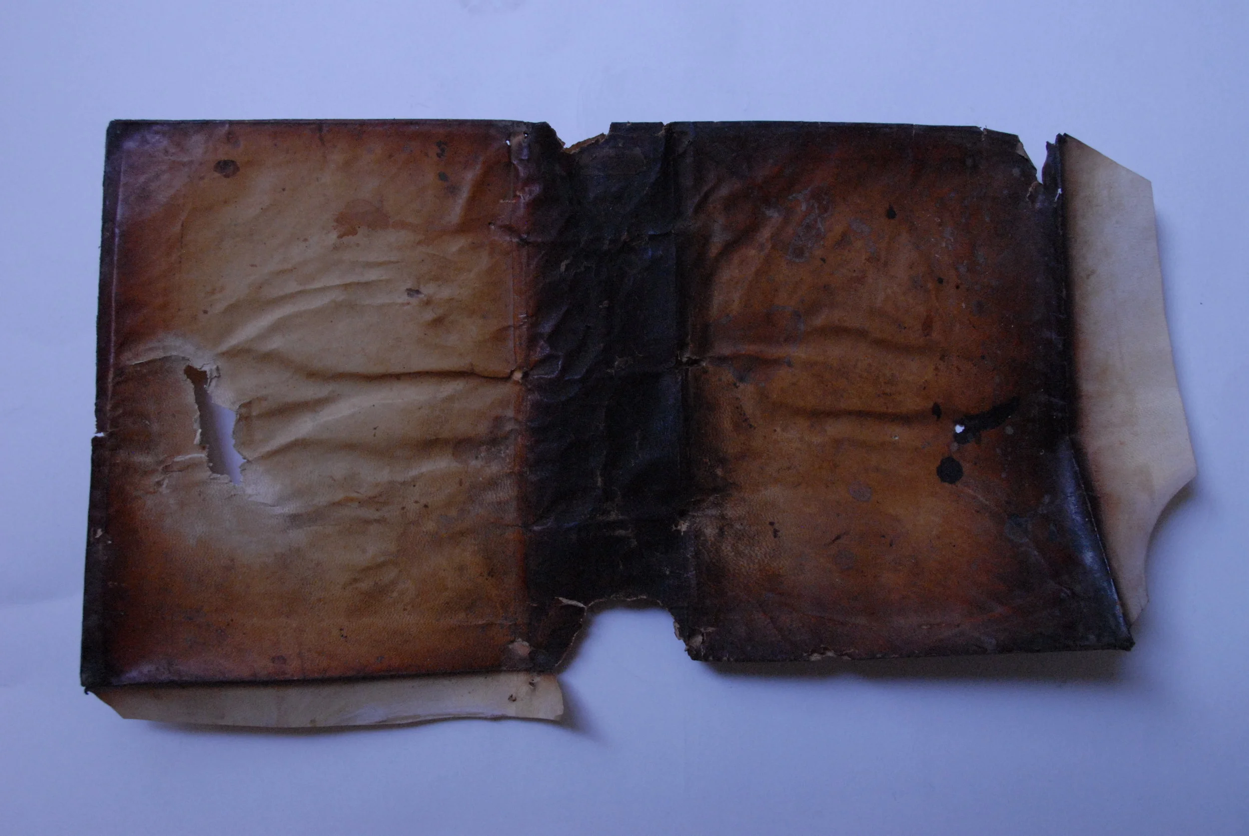 Restauro pergamena affumicata