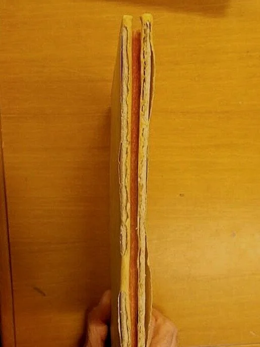 Bordi in pergamena rosicchiati 