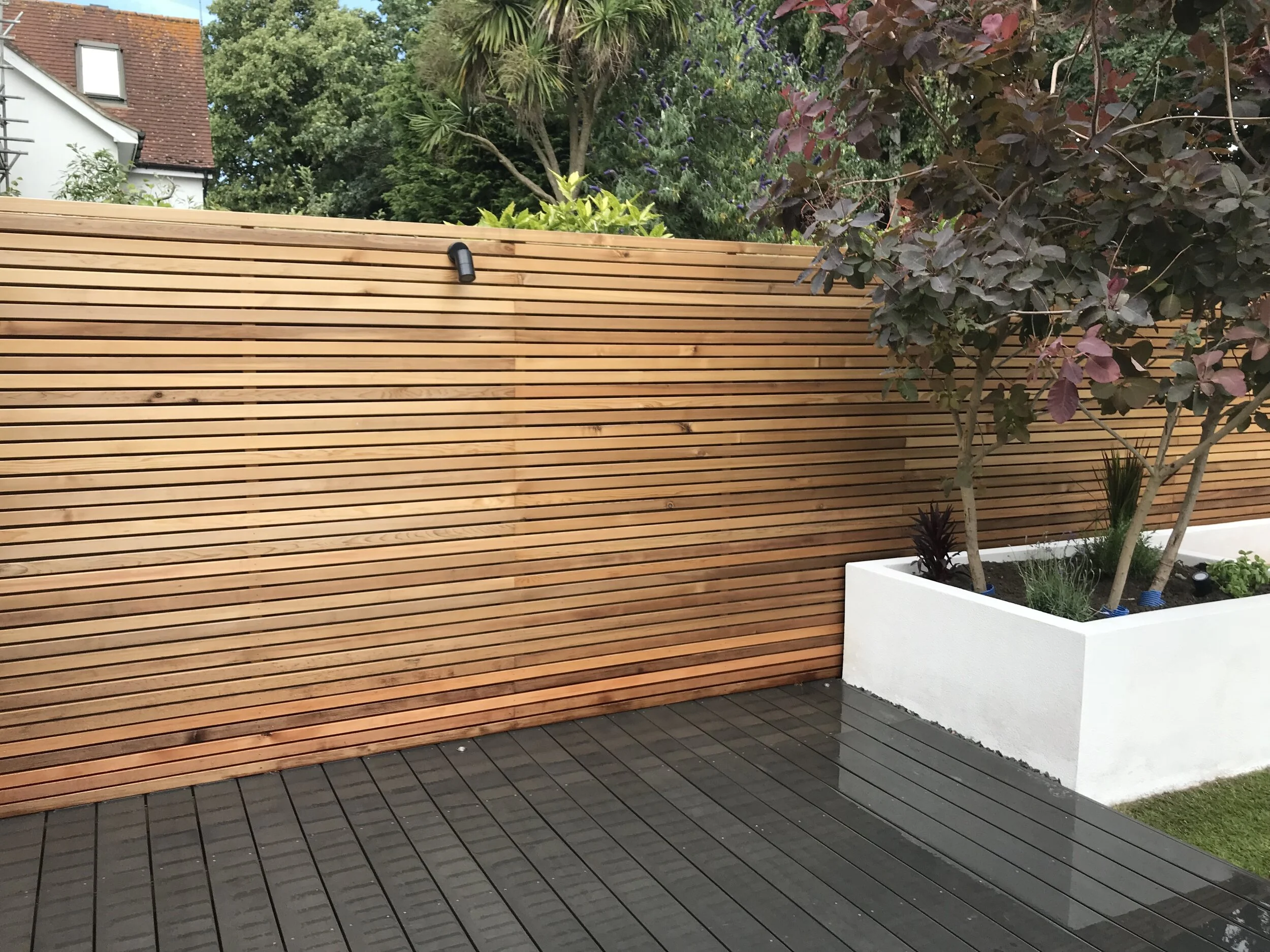 cedar_1556.jpg